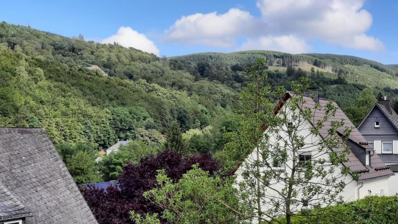 Yalet Ferienhaus 2 Appartementen Vlakbij Willingen Brilon-Wald Luaran gambar