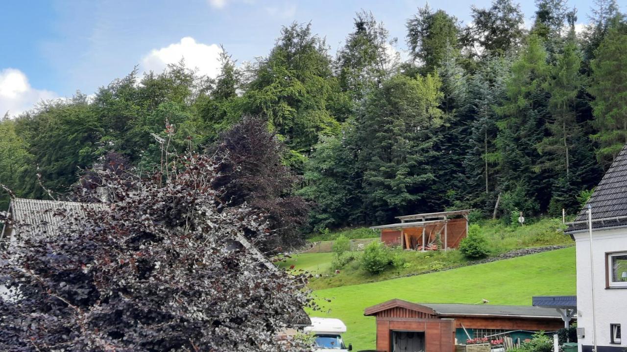 Yalet Ferienhaus 2 Appartementen Vlakbij Willingen Brilon-Wald Luaran gambar