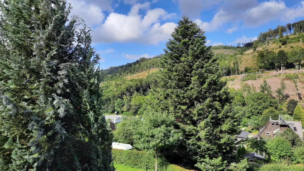 Yalet Ferienhaus 2 Appartementen Vlakbij Willingen Brilon-Wald Luaran gambar